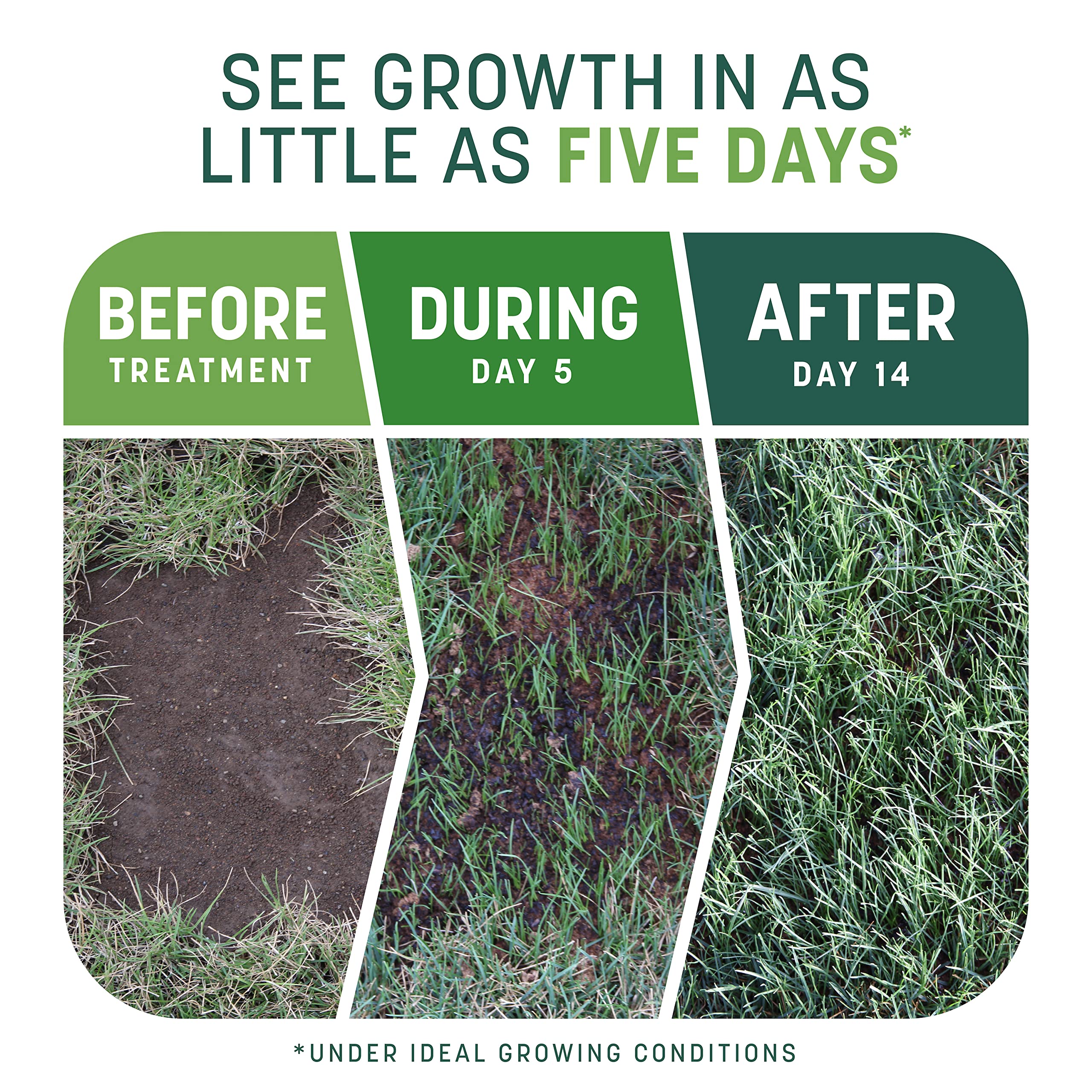 Bare spot being repaired on a lawn using Smart Patch mix.