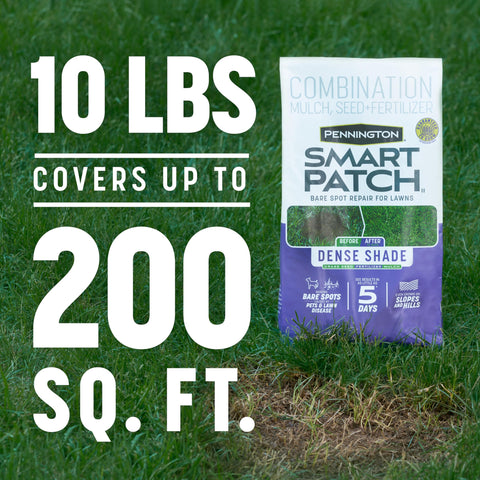 Pennington Smart Patch Dense Shade fertilizer pellets promote steady growth.