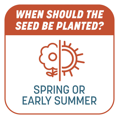 Pennington Smart Patch tackifier blankets seeds on hills