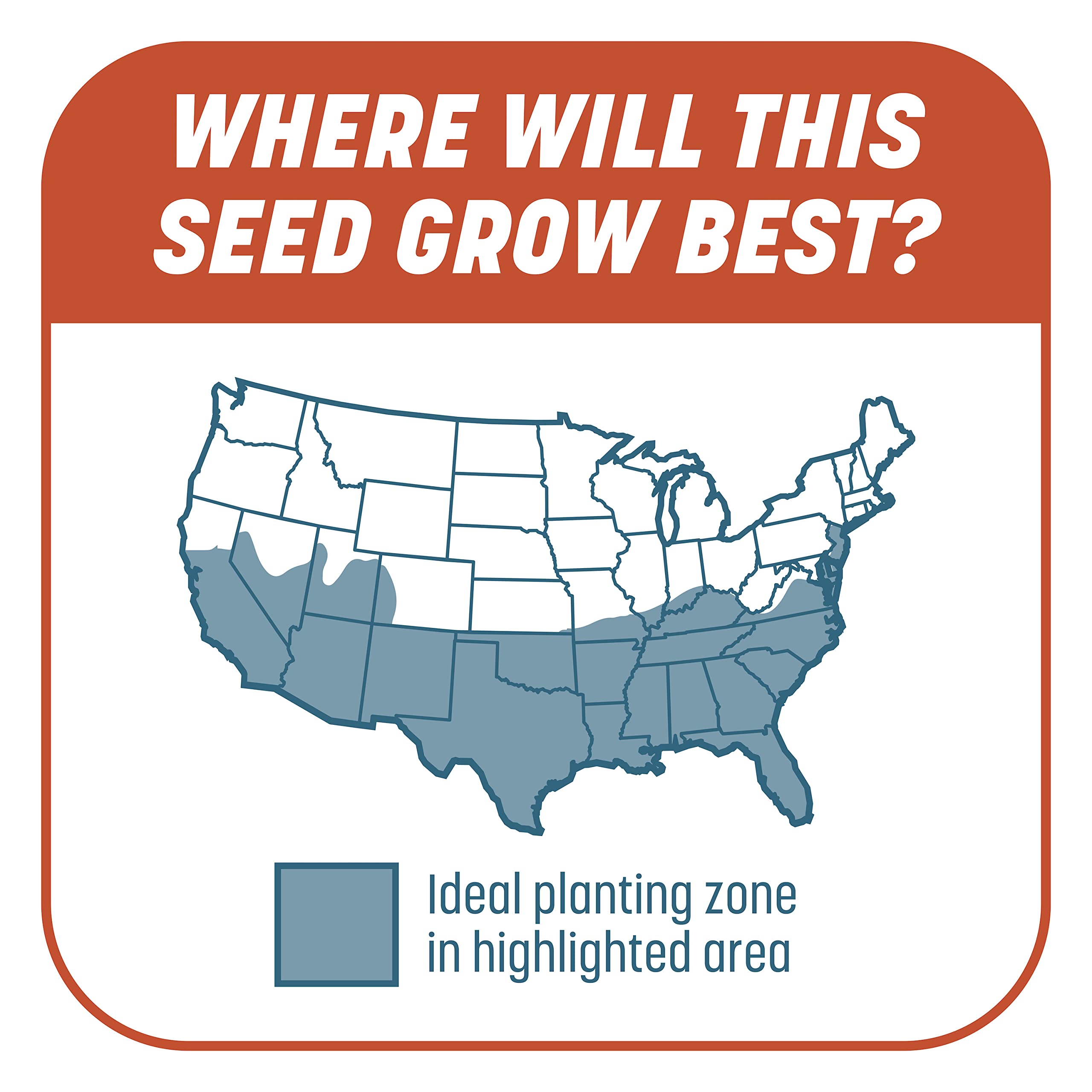 Pennington Smart Patch drought-tolerant mix for dry spells