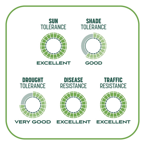 Pennington Smart Patch microbial benefits enhance lawn health