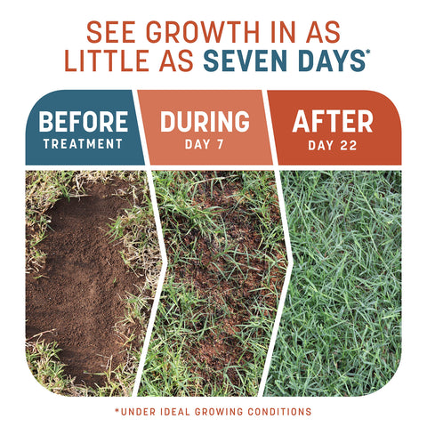 Pennington Smart Patch mulch changing color to signal watering