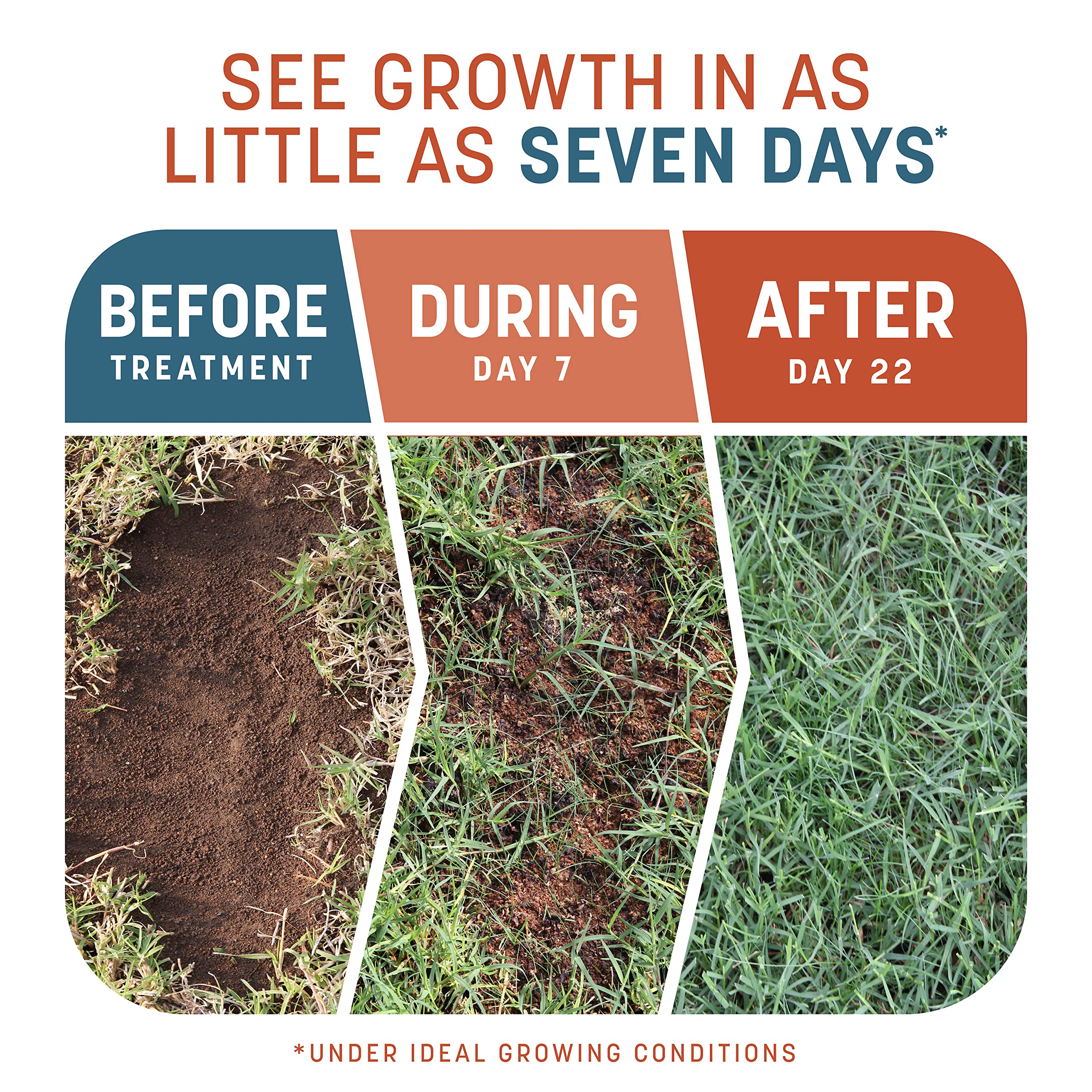 Pennington Smart Patch mulch layer aiding moisture and watering cue
