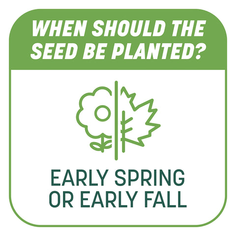 Pennington Smart Patch for partly shaded lawns with fertilizer
