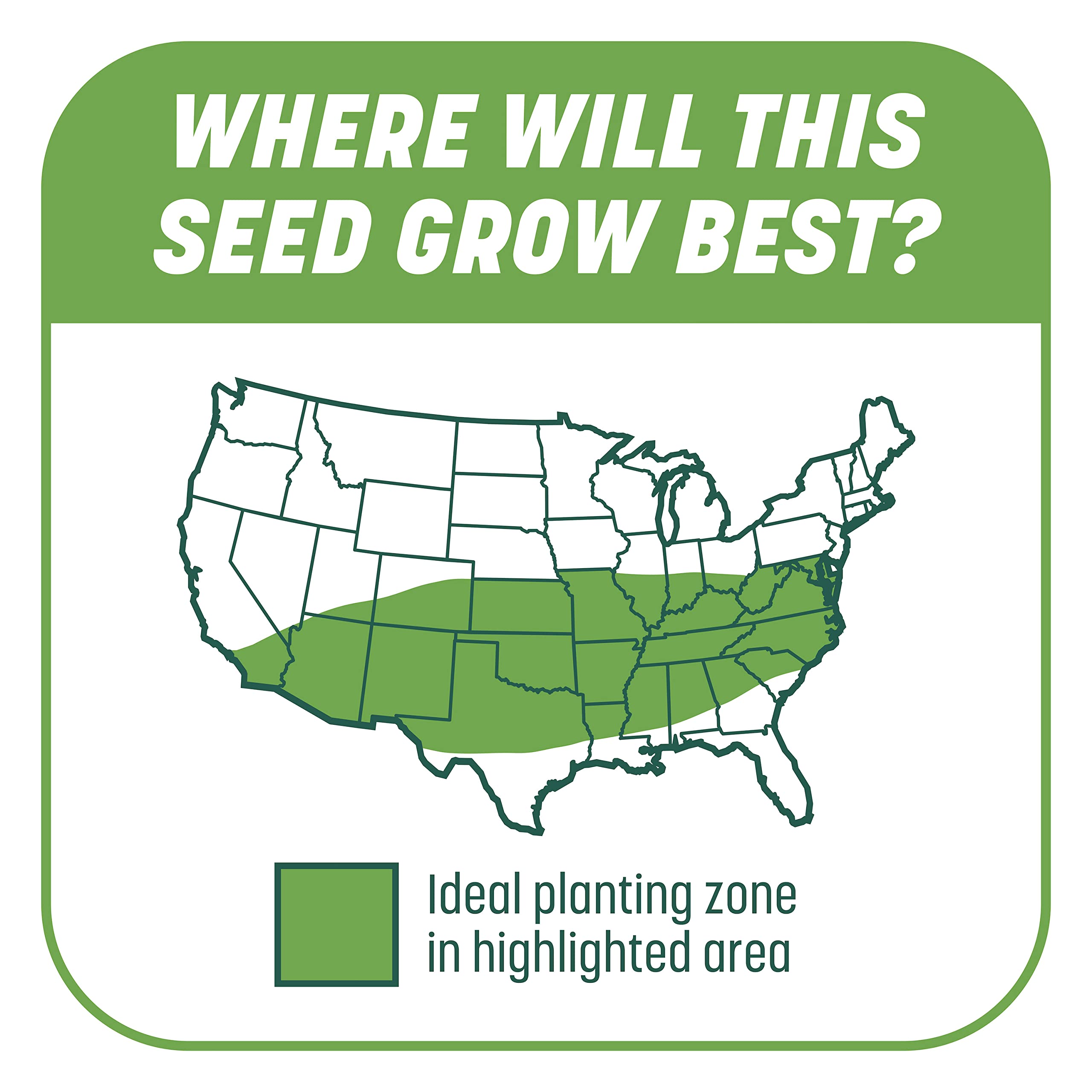 Pennington Smart Patch seed germination timeline hints at progress underfoot