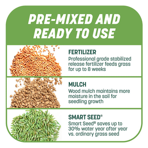 Pennington Smart Patch tall fescue blade close-up highlights durable turf texture