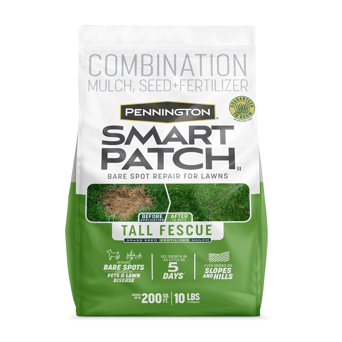 Pennington Smart Patch tall fescue seed for bare spot repair in lawns
