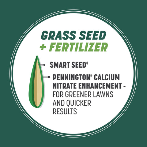 Pennington Smart Seed disease-resistant grass boosts lawn health under stress.