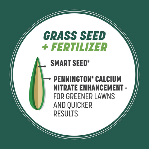 Pennington Smart Seed drought tolerance feature depicted for hot summers.