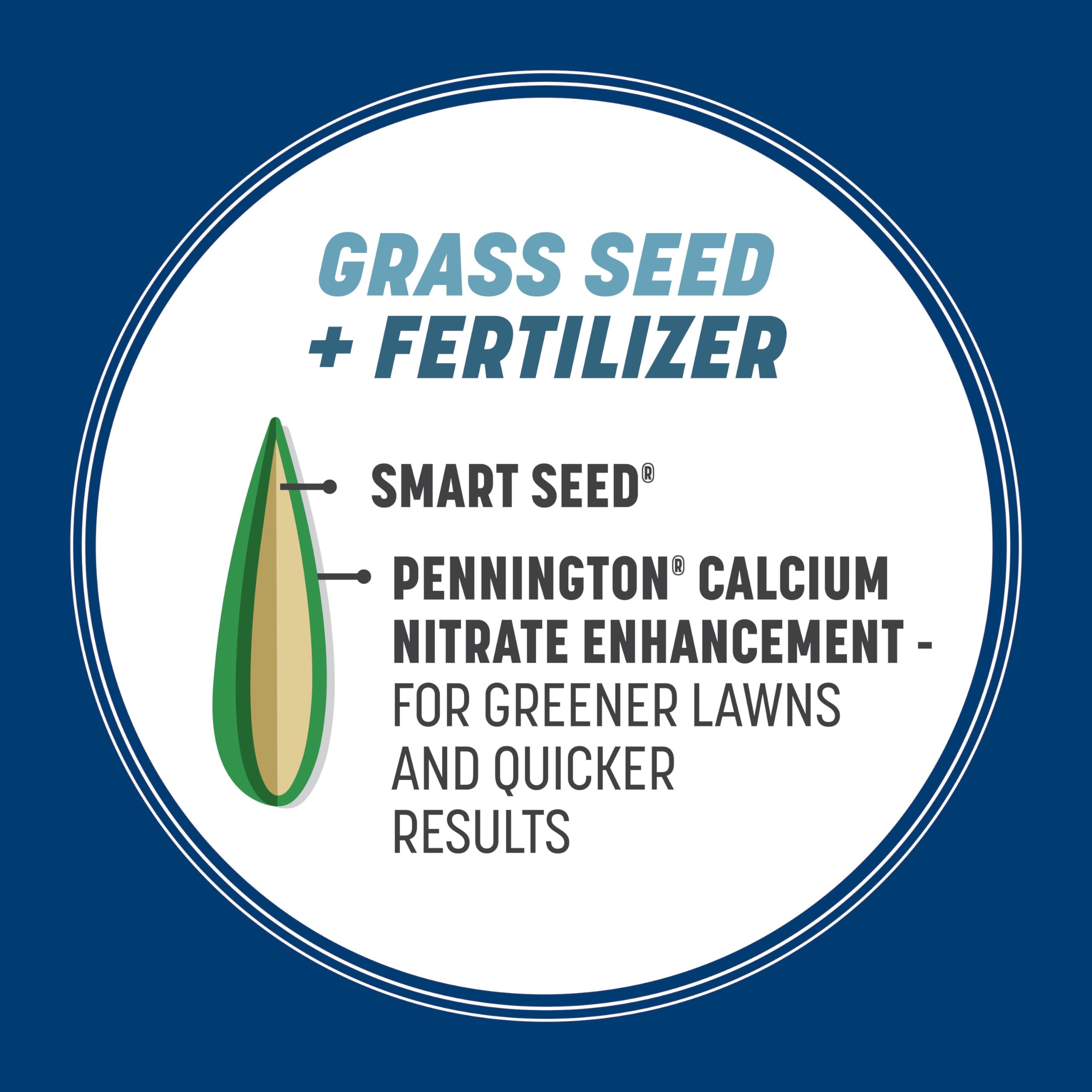 Drought-tolerant Smart Seed for greener lawns with less water.