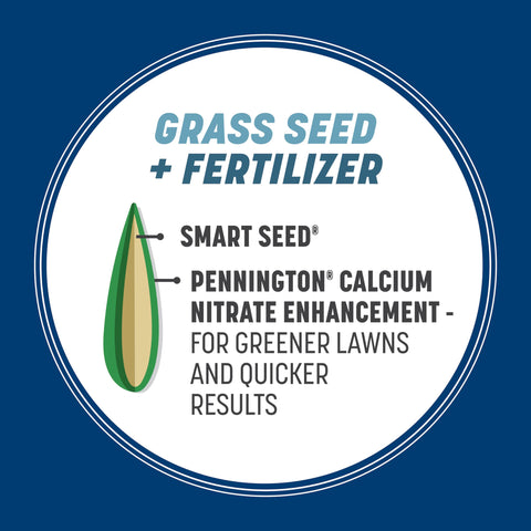 Drought-tolerant Smart Seed for greener lawns with less water.