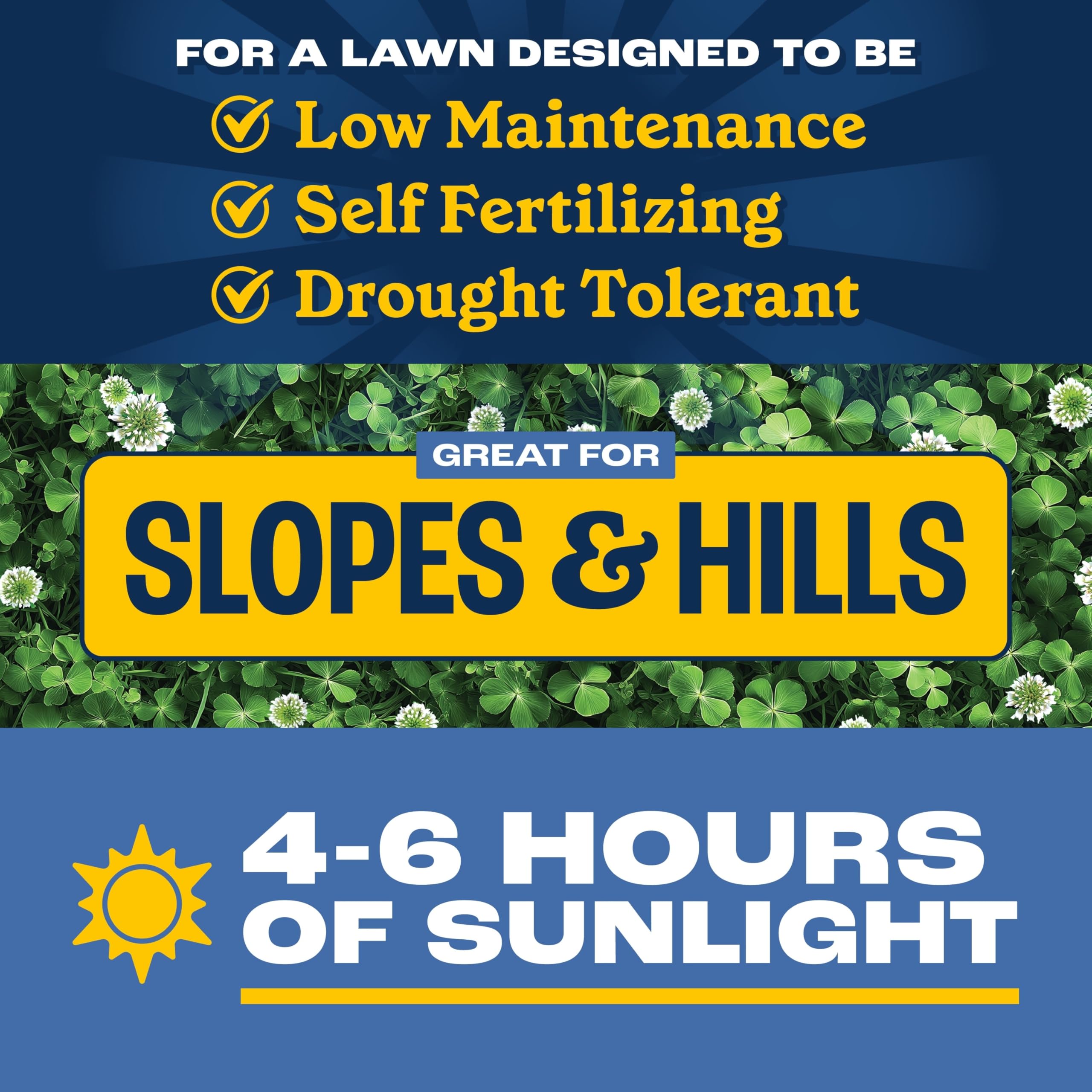 Pennington Smart Seed Durana clover close-up highlights self-fertilizing benefits.