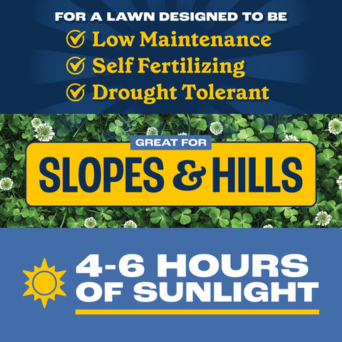 Pennington Smart Seed Durana clover close-up highlights self-fertilizing benefits.
