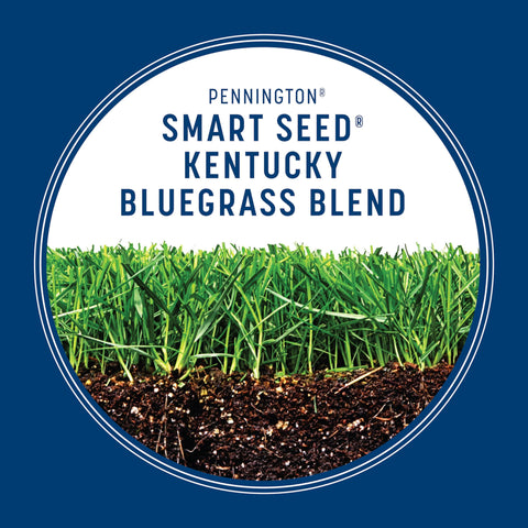 Fertilizer-coated seed speeds establishment and growth.
