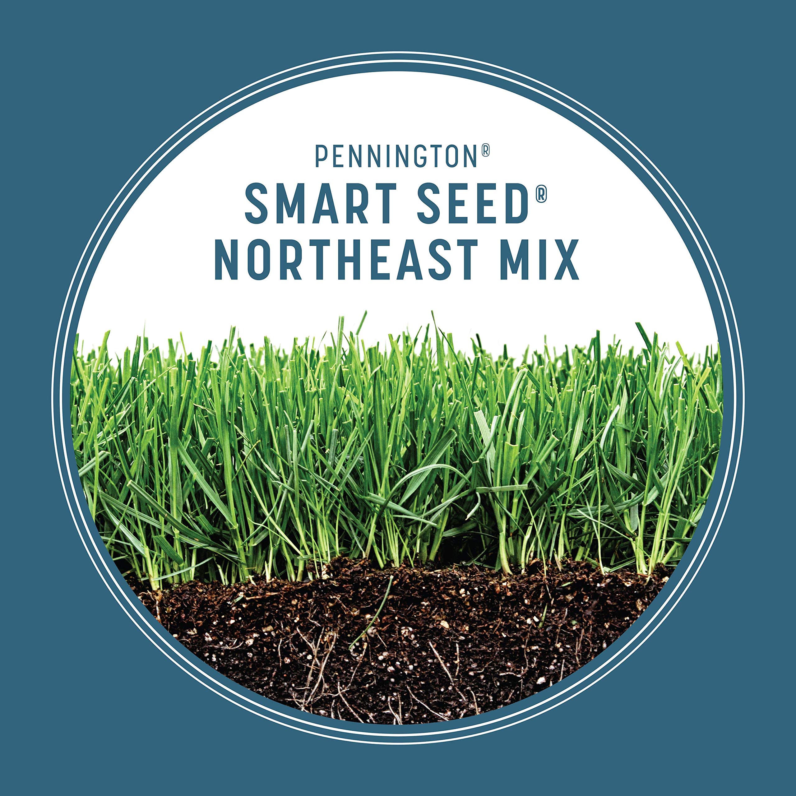 Healthy, lush turf after applying Pennington Smart Seed Northeast Mix
