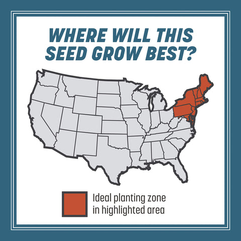 Pennington Smart Seed Northeast Mix suited for 4 to 6 hours of sun daily.