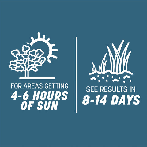 Water savings with Pennington Smart Seed Northeast Mix reduces irrigation needs.