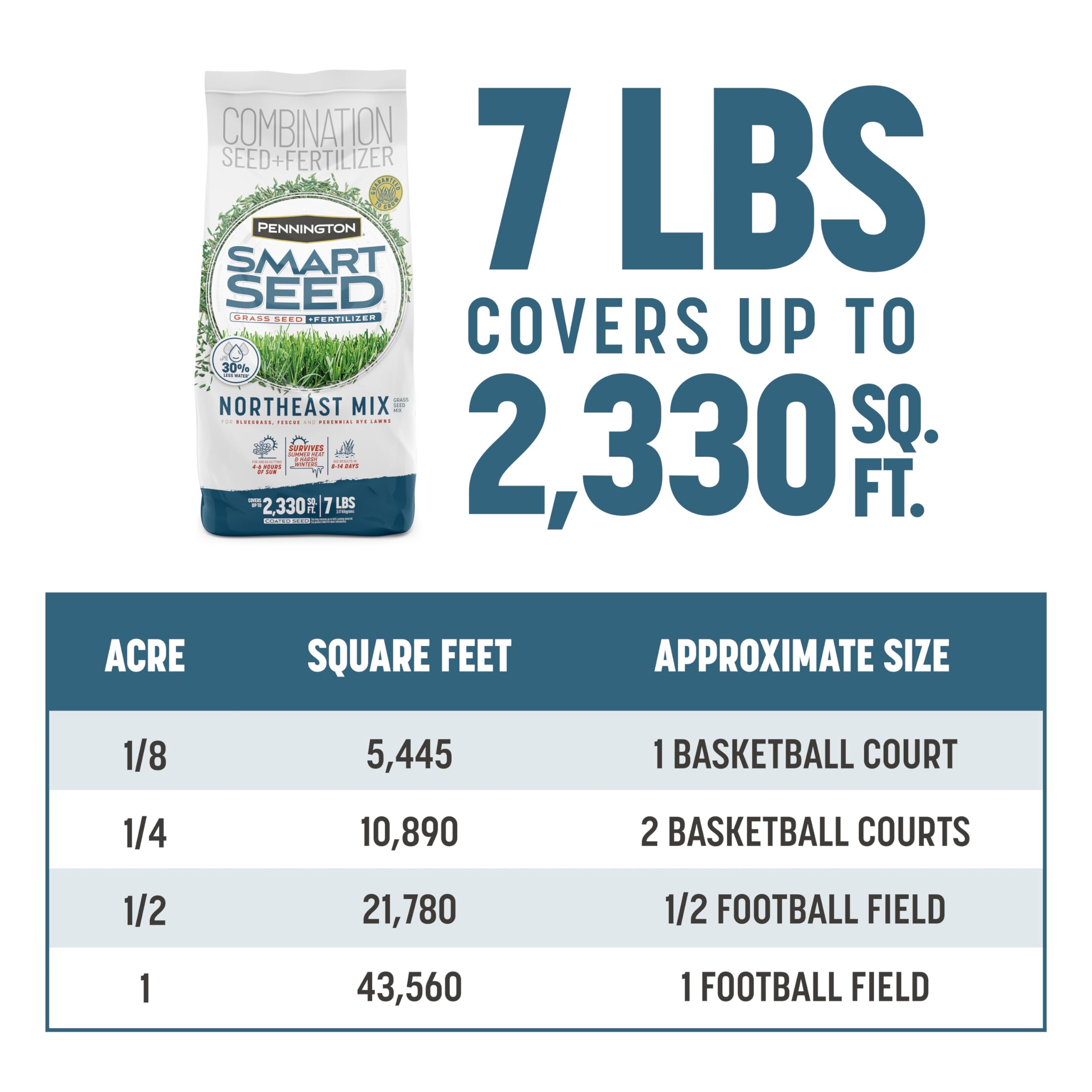 Overseeded lawn with Pennington Smart Seed Northeast Mix shows coverage