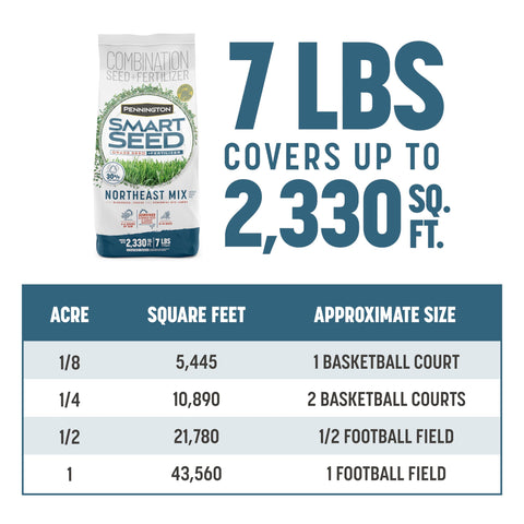 Overseeded lawn with Pennington Smart Seed Northeast Mix shows coverage