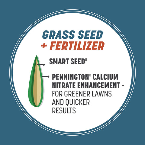 Macro view of the fertilizer-coated Pennington seeds