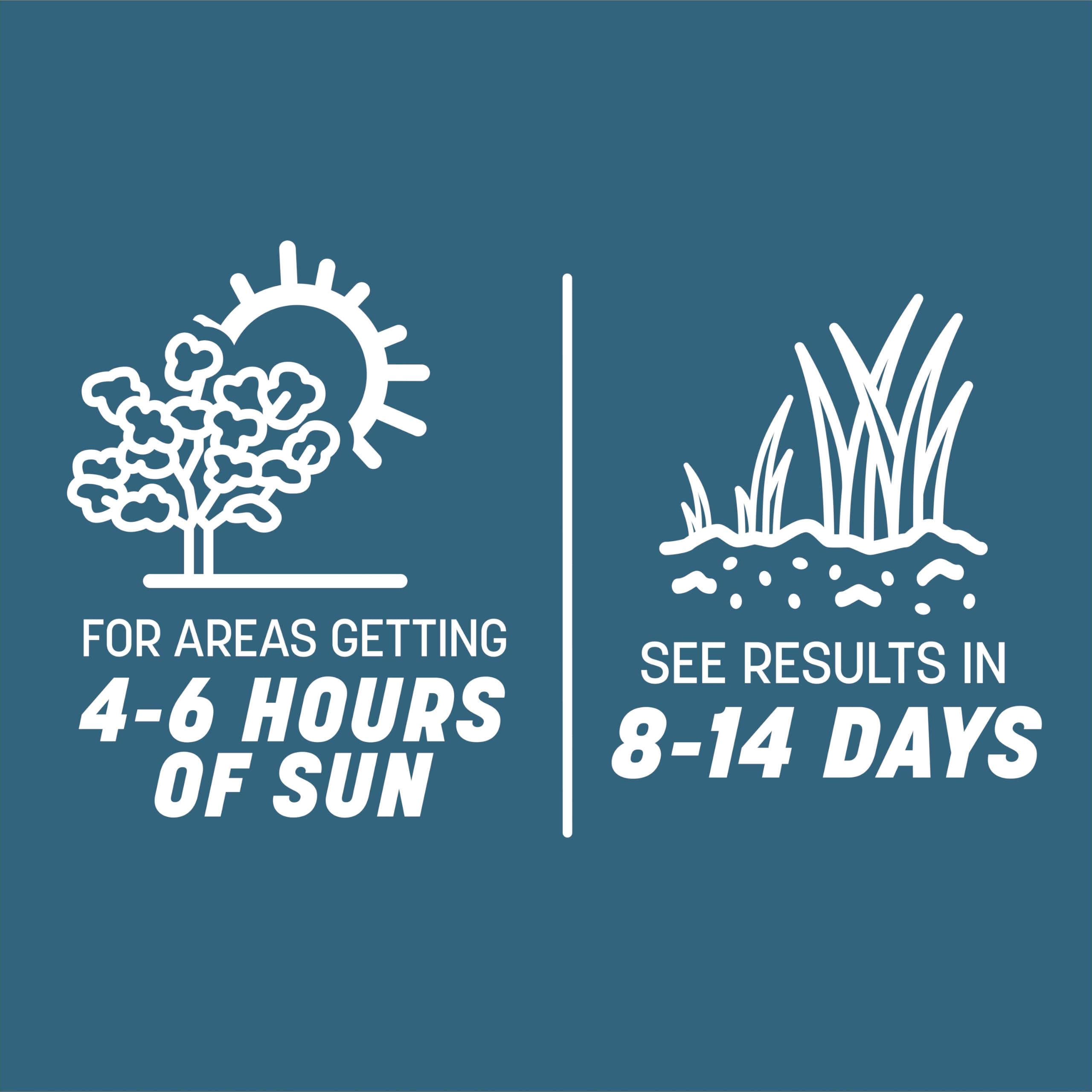 Pennington Smart Seed Ohio State disease-resistance seed for healthier lawns.