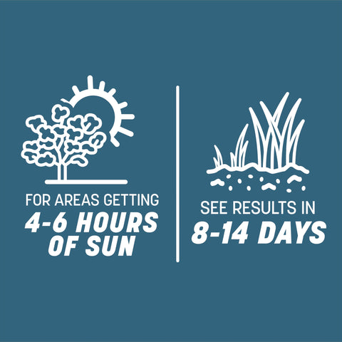 Pennington Smart Seed Ohio State disease-resistance seed for healthier lawns.