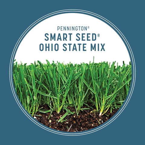 Pennington Smart Seed Ohio State fertilizer-coated seed for even growth.