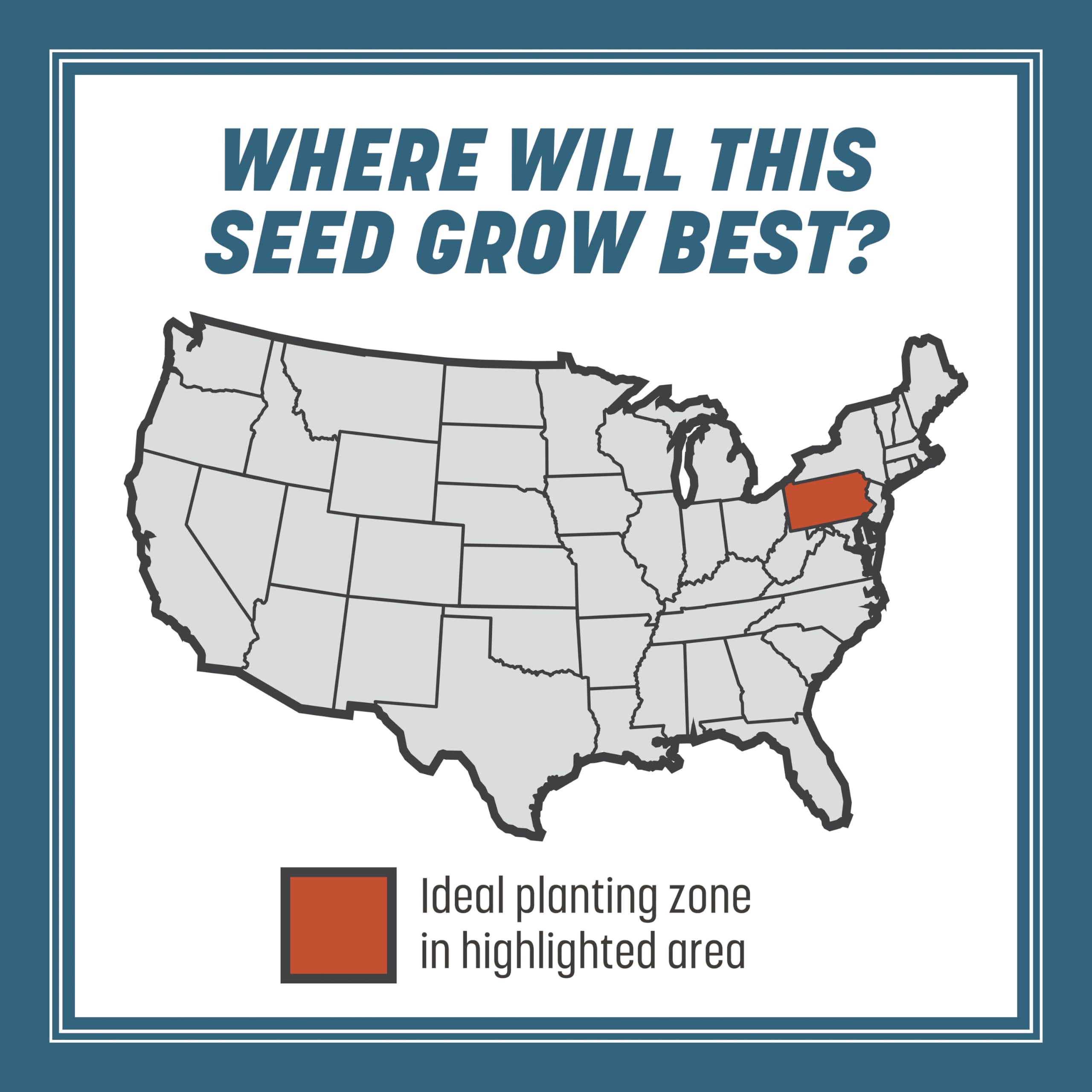 Pennington Smart Seed Pennsylvania Mix establishing a new lawn.