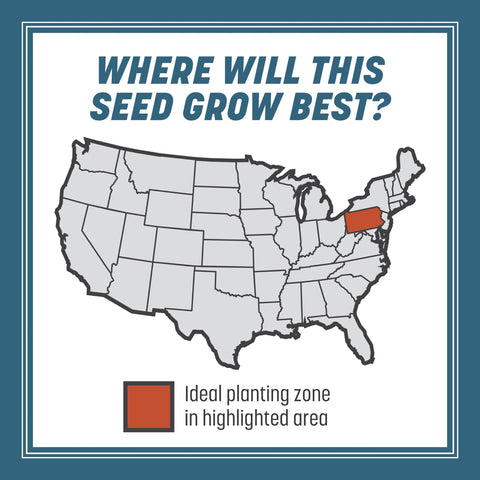 Pennington Smart Seed Pennsylvania Mix establishing a new lawn.