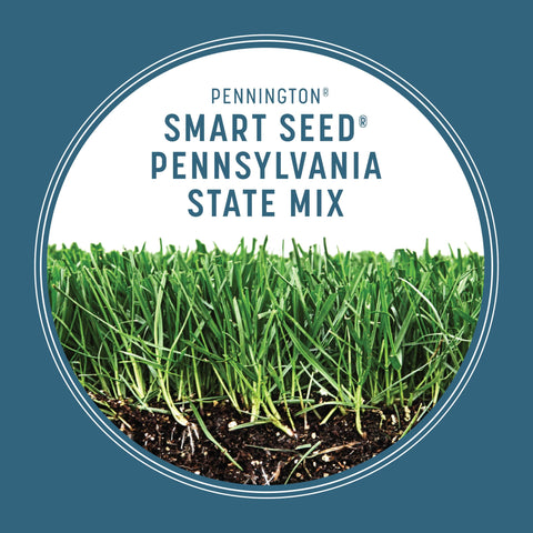 Pennington Smart Seed Pennsylvania Mix used for overseeding to cover a large area.