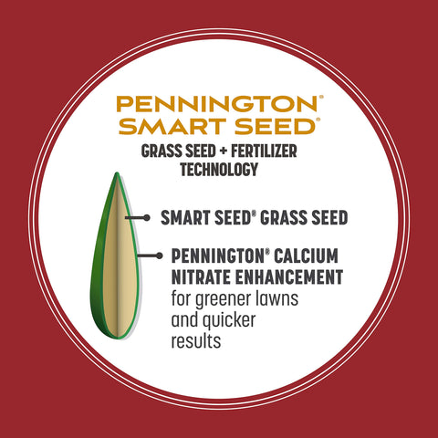 Pennington Smart Seed Perennial Ryegrass demonstrates drought tolerance in dry conditions.