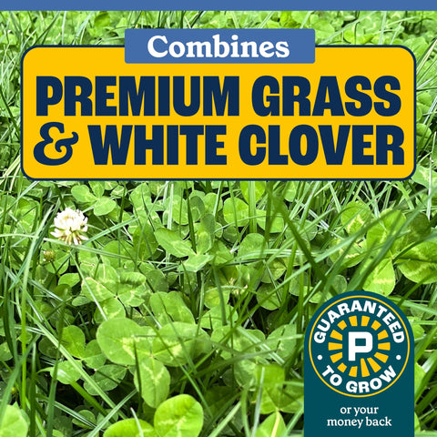 Pennington Smart Seed pollinator-friendly lawn image promotes biodiversity in your yard.