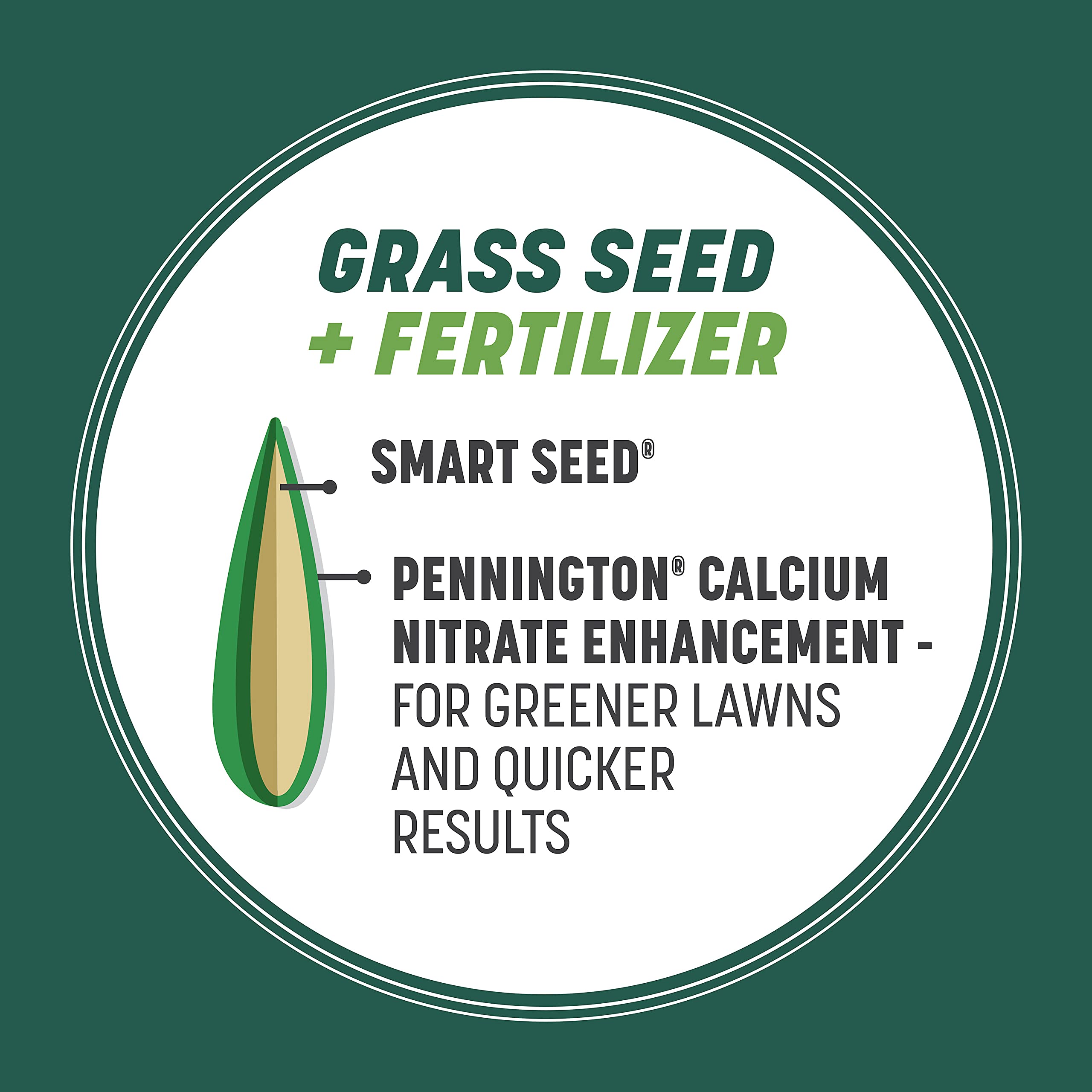 Pennington Smart Seed Sun and Shade Tall Fescue drought-tolerant for southern lawns
