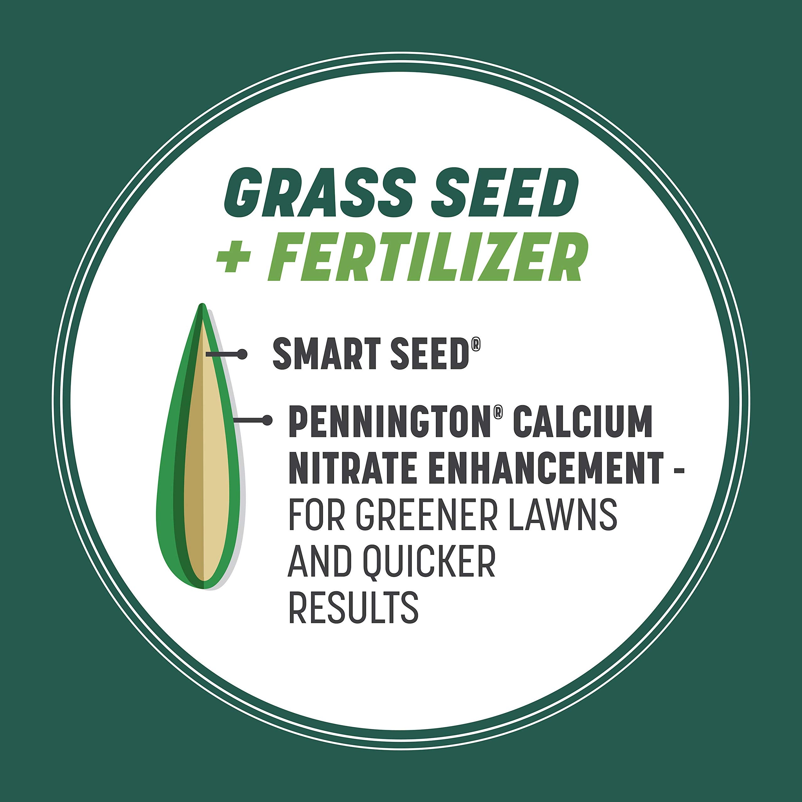 Pennington Smart Seed Sun & Shade germination process shown from seed to sprout.