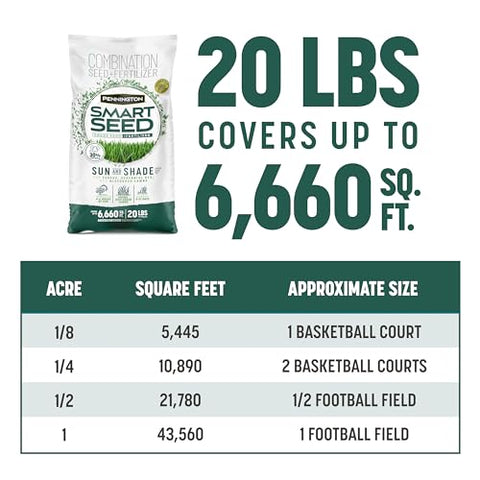 Pennington Smart Seed spread across overseeded lawn demonstrates large coverage capability.