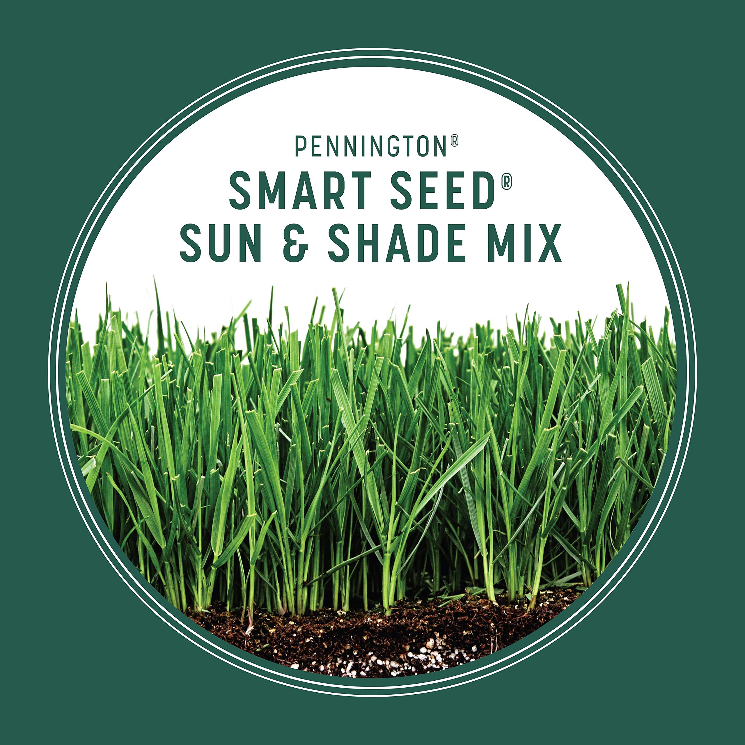 Pennington Smart Seed lawn thriving under mixed sun and shade conditions.
