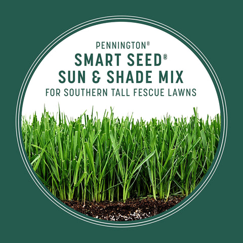 Pennington Seed Sun & Shade Tall Fescue suited for 4–6 hours of sun.