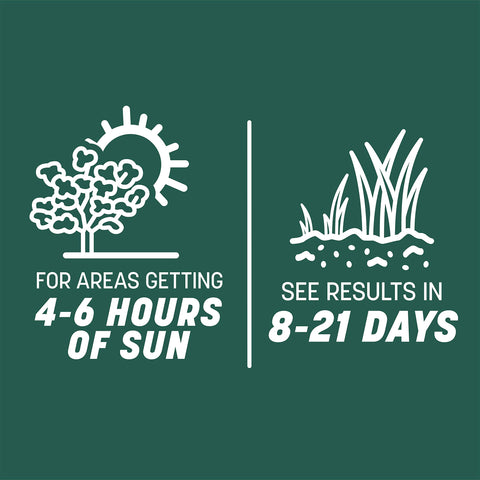 Overseeding coverage map for Pennington Sun & Shade Tall Fescue.