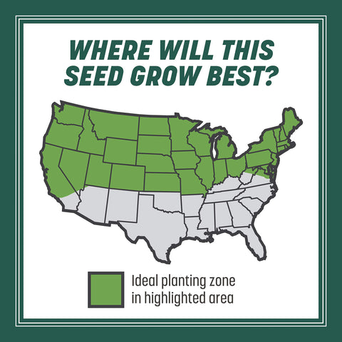 Pennington Smart Seed image highlighting drought tolerance for water-conscious lawns.