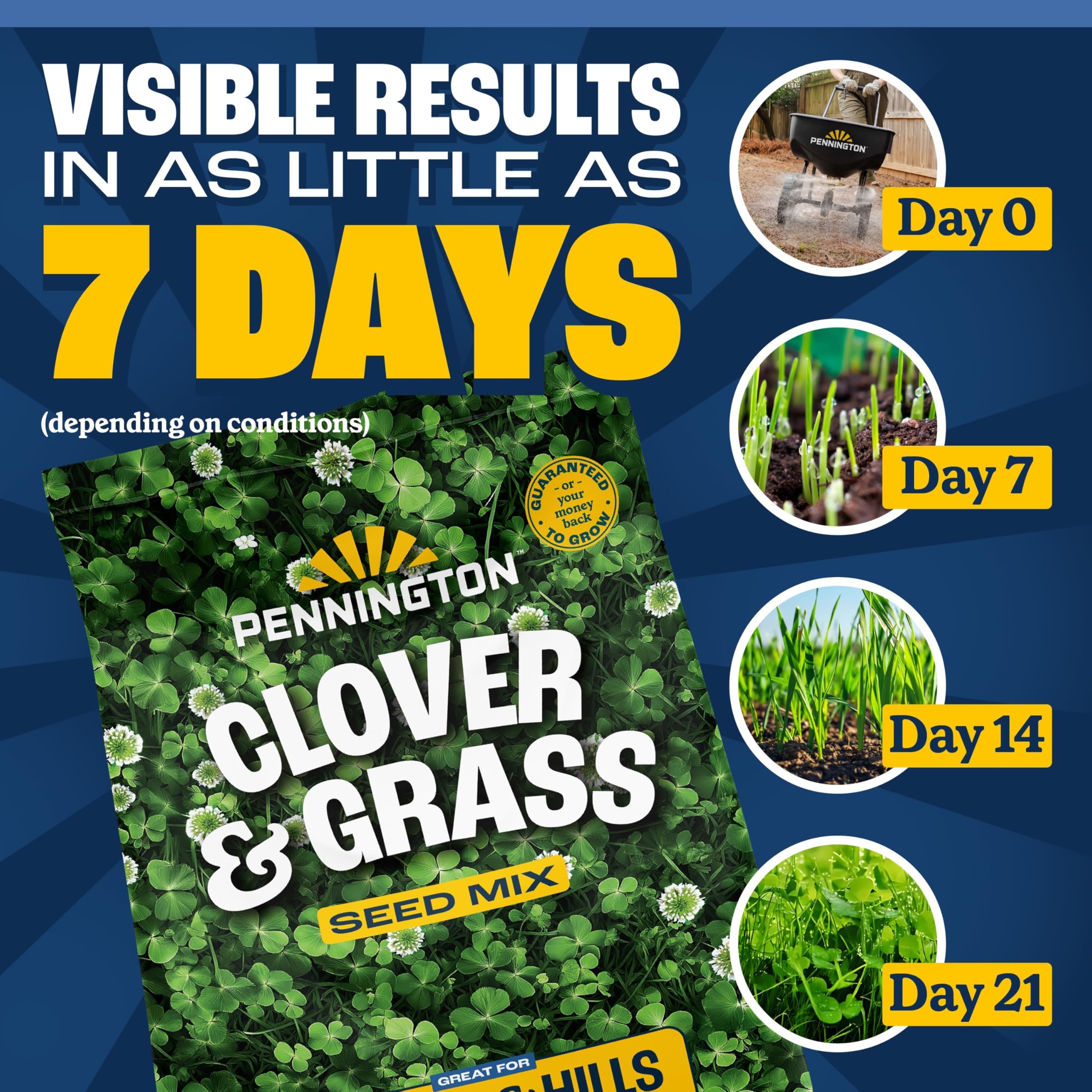 Pennington Smart Seed water-saving lawn variety supports reduced irrigation needs.