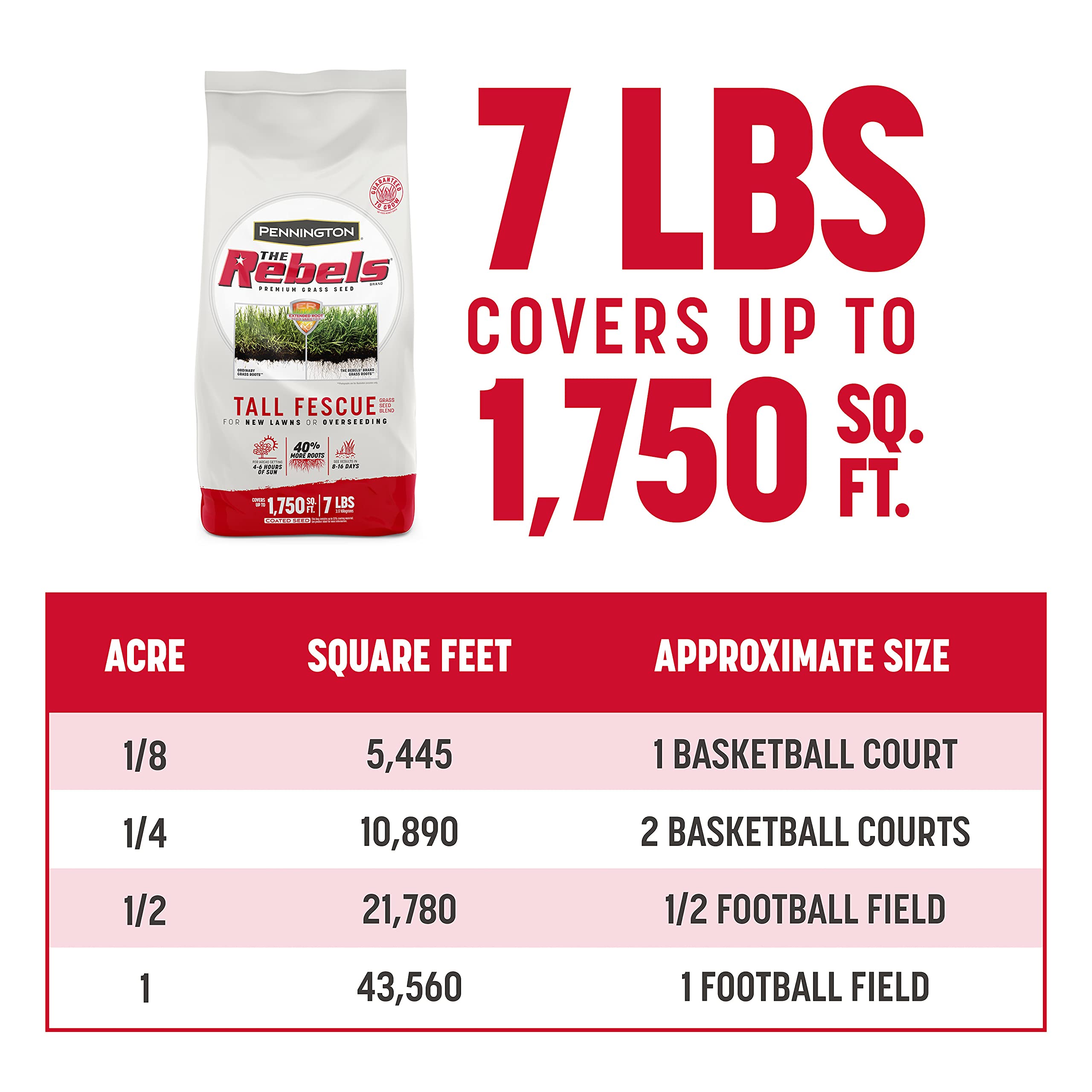 Pennington The Rebels tall fescue drought-tolerance close-up illustrates hardy lawn