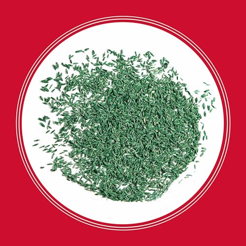 Pennington The Rebels tall fescue growth timing graphic hints at fast germination