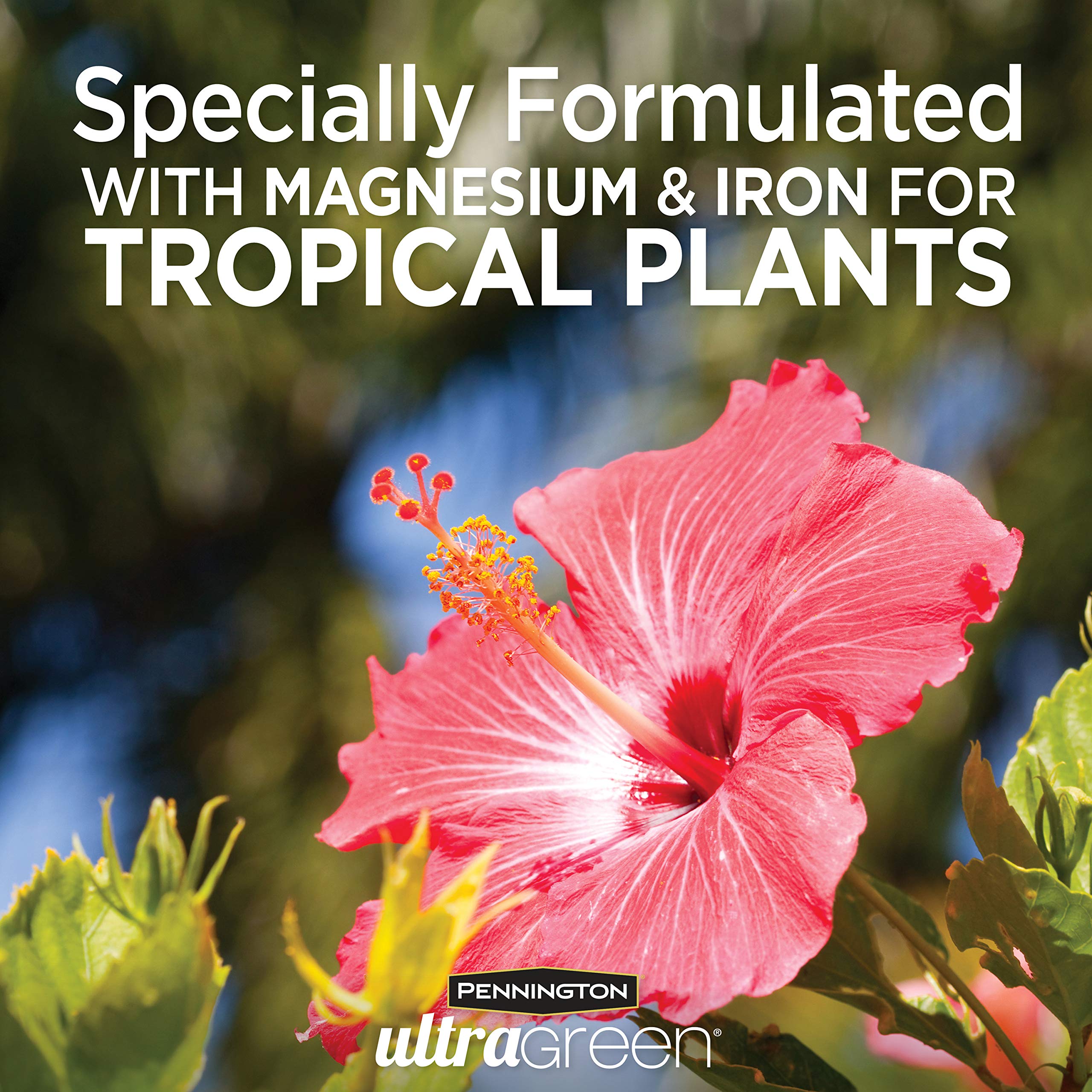 Pennington Ultra Green hibiscus blooms appear brighter with added iron and magnesium.