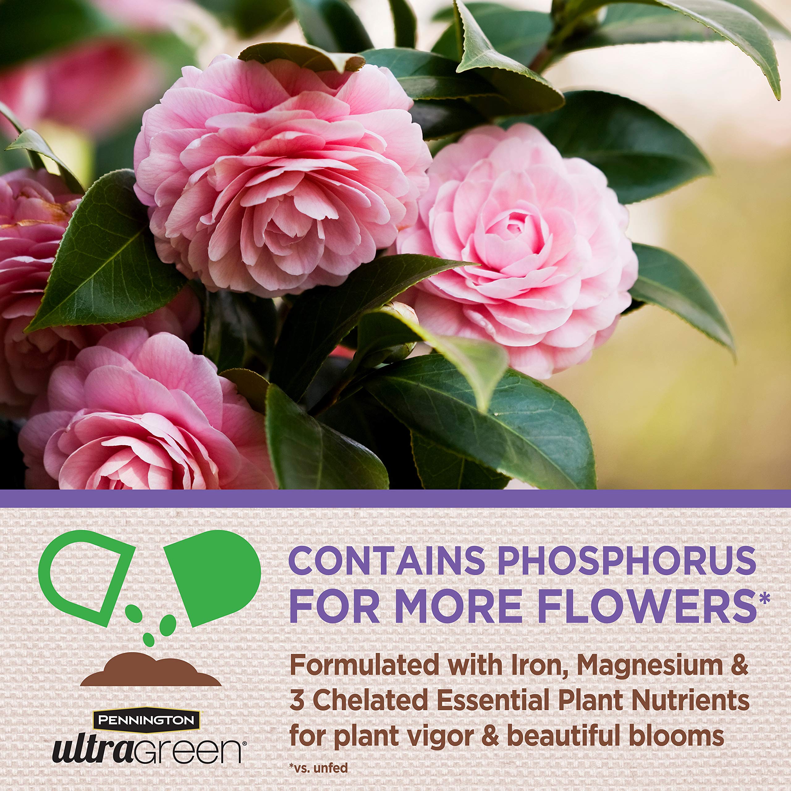 Pennington UltraGreen acid-loving plants blooming with vibrant color