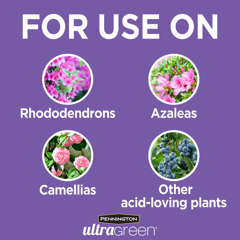 Pennington UltraGreen chelated iron and magnesium supporting shrubs