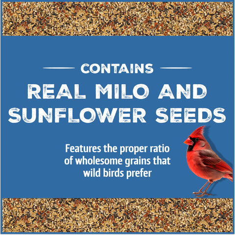 Pennington bird seed blend with sunflower and millet attracts colorful backyard birds