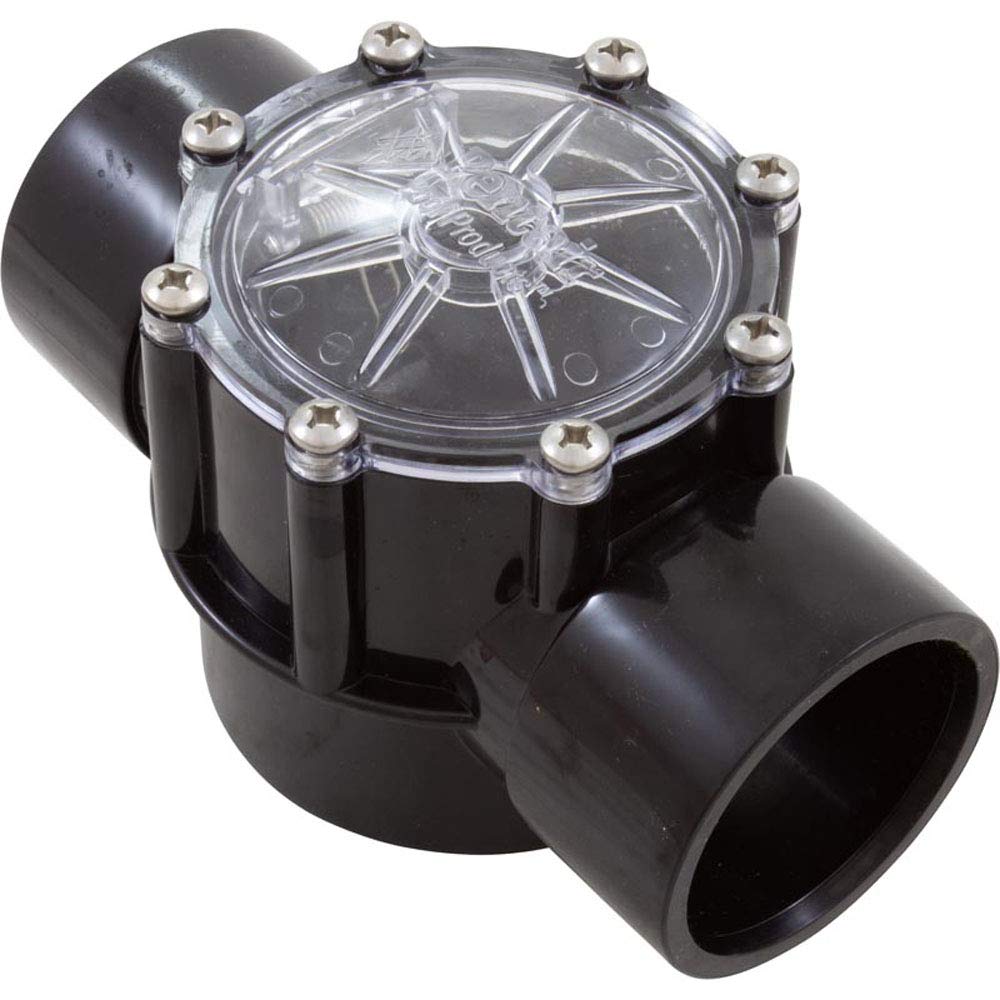 Pentair 263042 CPVC check valve closeup showing 2-port straight flow for pools