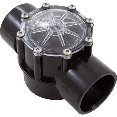 Pentair 263042 CPVC check valve closeup showing 2-port straight flow for pools