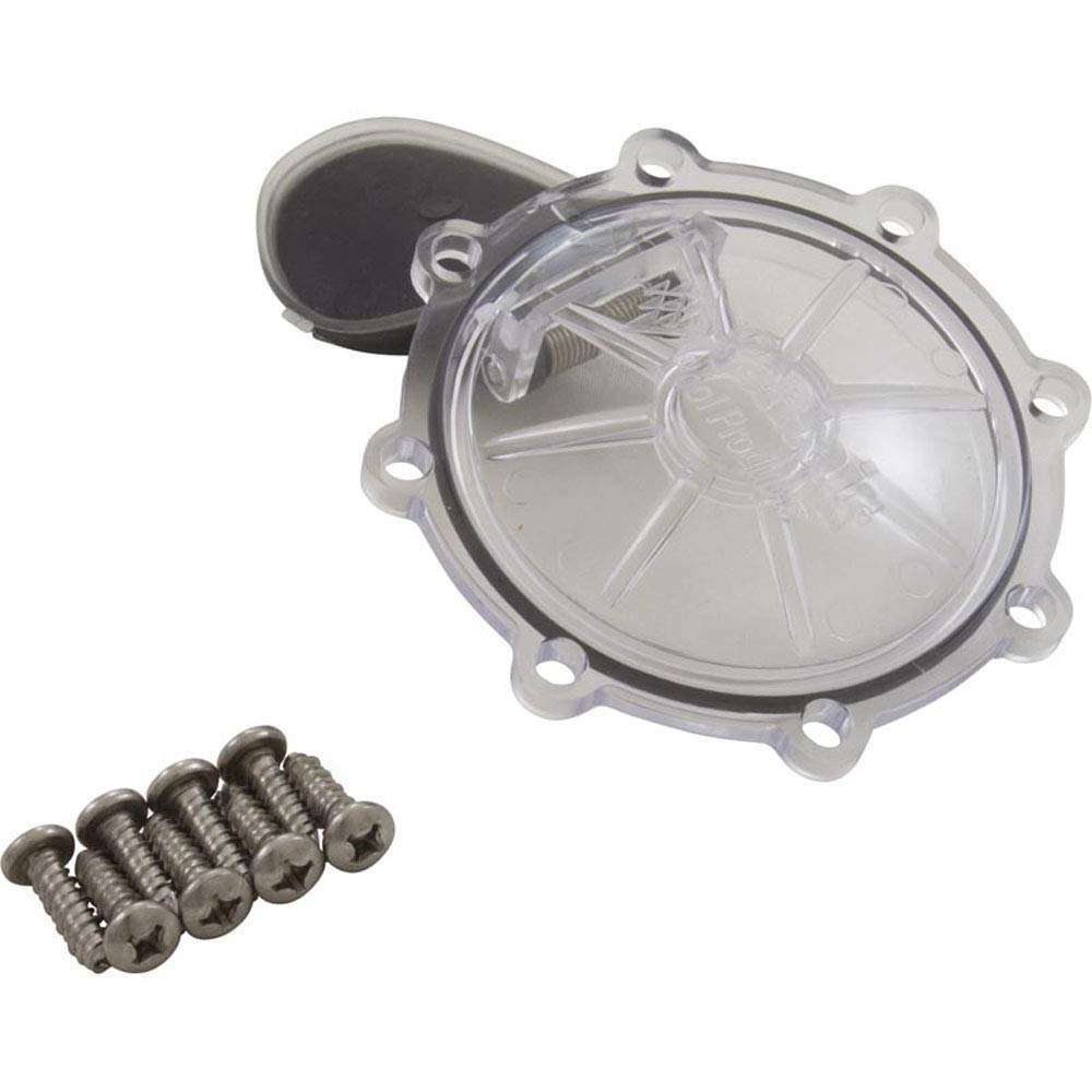 Pentair 263042Z 2in check valve kit for pool diverter with durable CPVC construction.