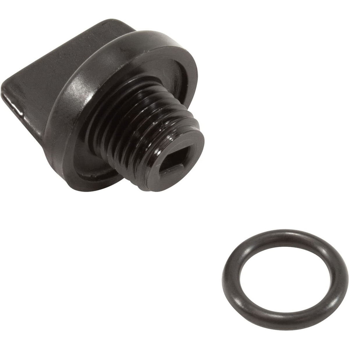 Pentair Sta-Rite drain plug with O-ring for a reliable seal during maintenance